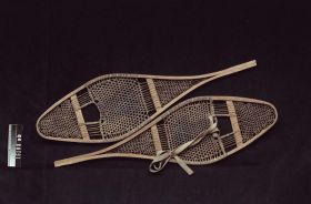 Image representing Snowshoe.