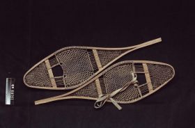 Image representing Snowshoe.