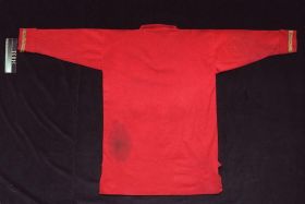Image representing Shirt.