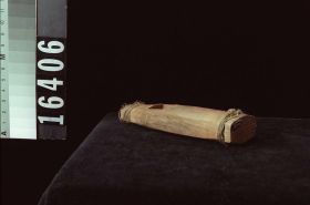 Image representing Whistle.