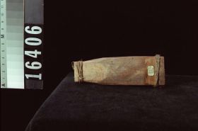 Image representing Whistle.