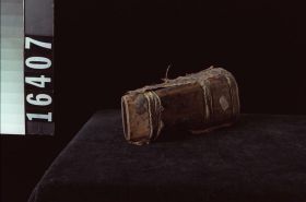 Image representing Whistle.