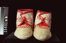 Image representing Moccasin.