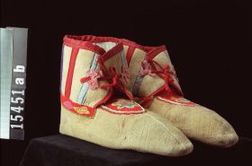 Image representing Moccasin.