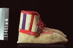 Image representing Moccasin.