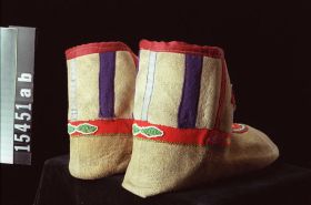 Image representing Moccasin.