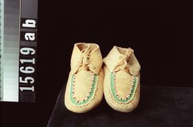 Image representing Moccasin.