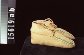 Image representing Moccasin.