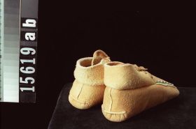 Image representing Moccasin.