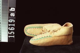 Image representing Moccasin.