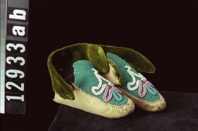 Image representing Moccasin.
