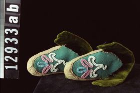 Image representing Moccasin.