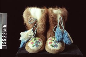 Image representing Moccasin.