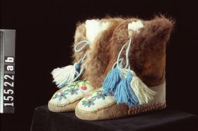 Image representing Moccasin.