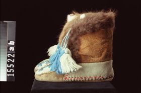 Image representing Moccasin.