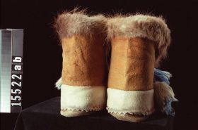 Image representing Moccasin.