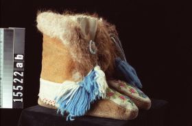 Image representing Moccasin.