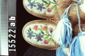 Image representing Moccasin.