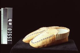 Image representing Moccasin.