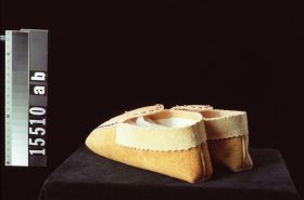 Image representing Moccasin.
