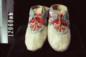 Image representing Moccasin.