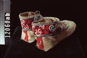 Image representing Moccasin.