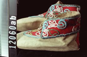 Image representing Moccasin.
