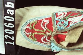 Image representing Moccasin.