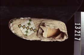 Image representing Moccasin.
