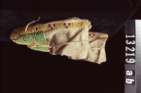 Image representing Moccasin.
