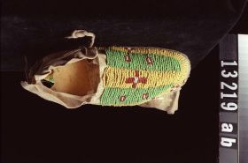 Image representing Moccasin.