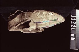 Image representing Moccasin.