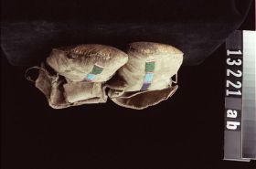 Image representing Moccasin.