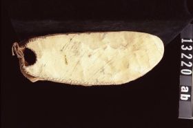 Image representing Moccasin.