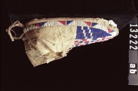 Image representing Moccasin.