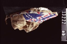 Image representing Moccasin.
