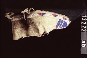 Image representing Moccasin.