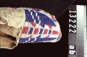Image representing Moccasin.