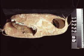 Image representing Moccasin.