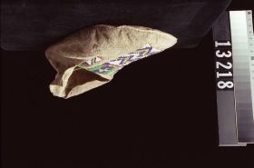 Image representing Moccasin.