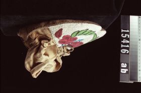 Image representing Moccasin.