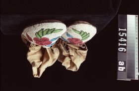 Image representing Moccasin.