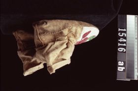 Image representing Moccasin.