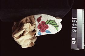 Image representing Moccasin.