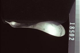 Image representing Spoon.