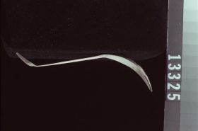 Image representing Spoon.