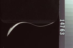 Image representing Spoon.