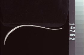 Image representing Spoon.