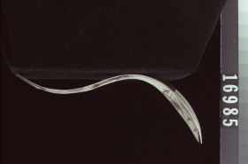 Image representing Spoon.