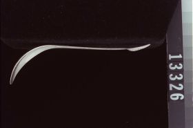 Image representing Spoon.